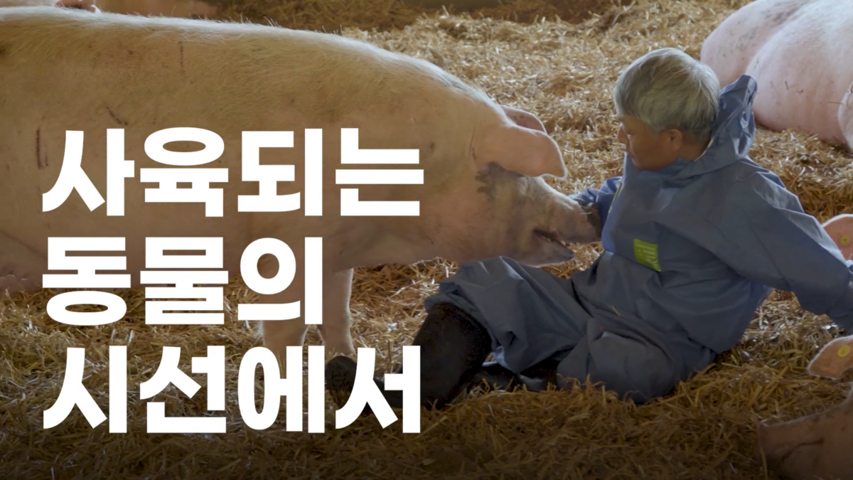 팜스코